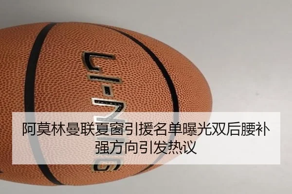 阿莫林曼联夏窗引援名单曝光双后腰补强方向引发热议